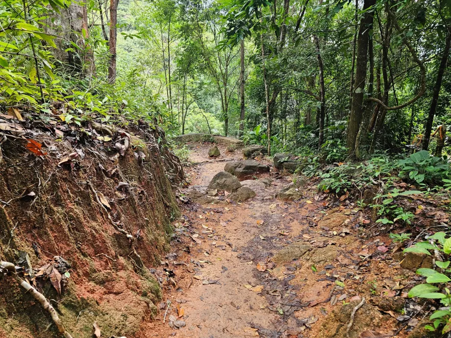 Пътят към водопада Namuang 2