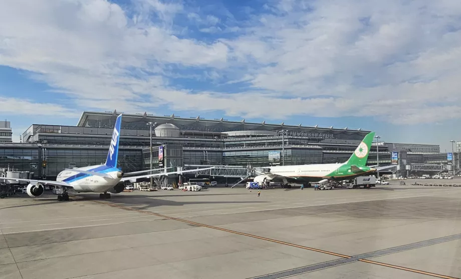 Международен терминал 3