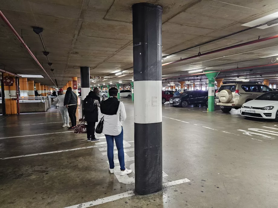 В очакване на Bolt