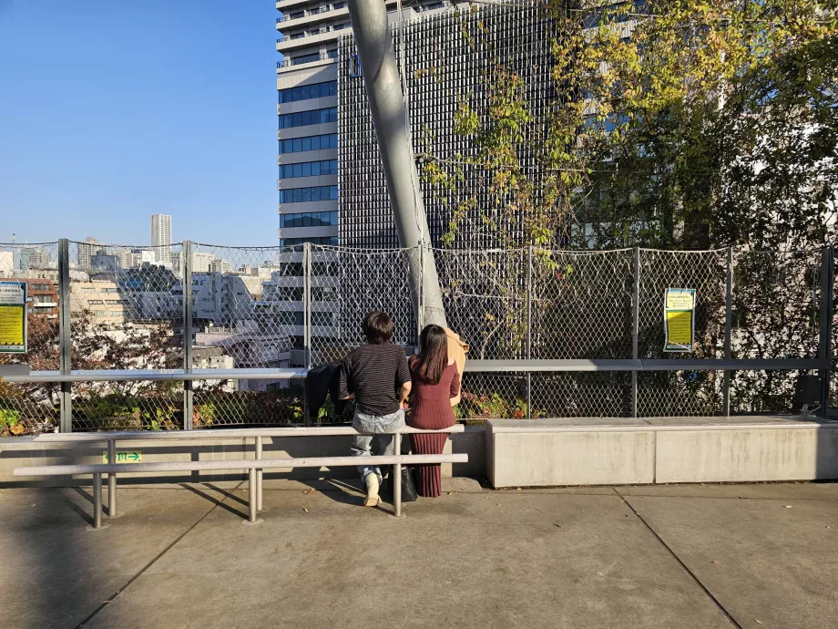 Парк Мияшита