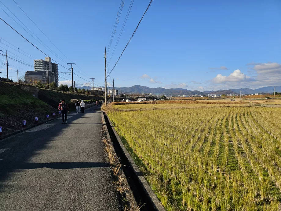 Разходка от гарата до лодката