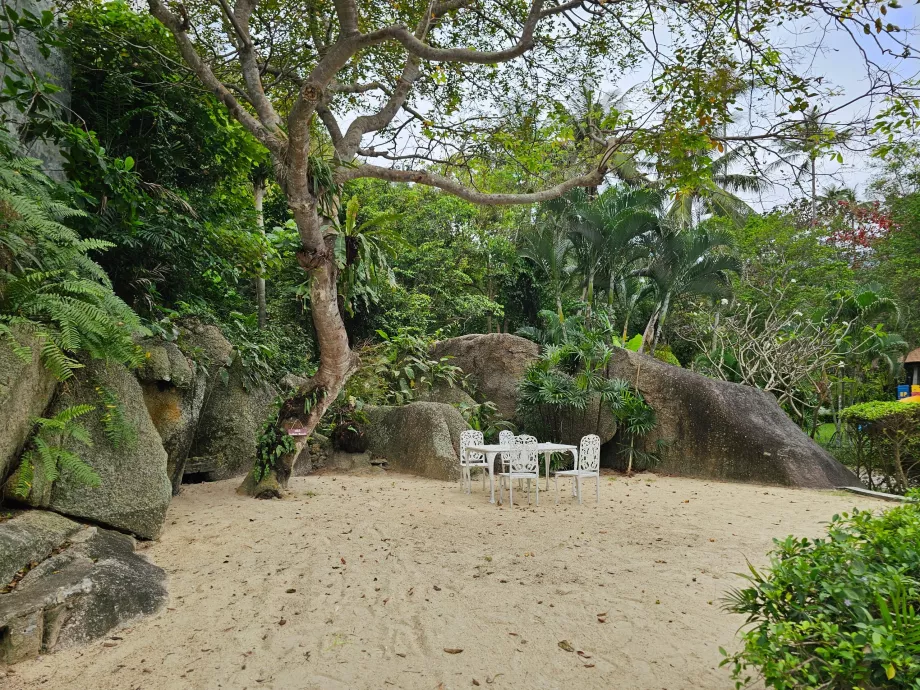 Седене в градината