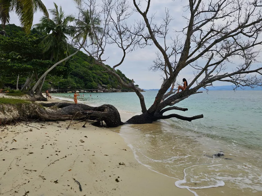 Плаж Рин Най