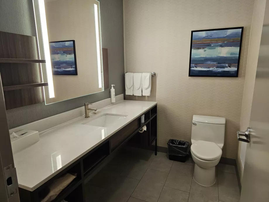 Hilton Garden Inn, баня