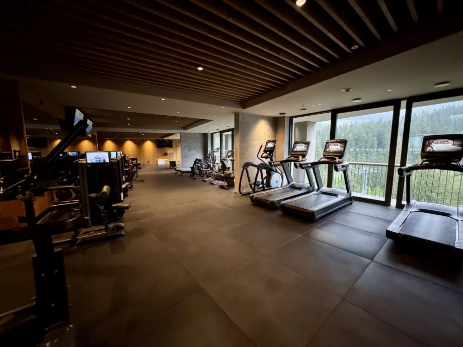 Фитнес център Swissotel Damian Jasna