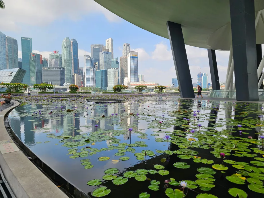 Музей на изкуствата и науката
