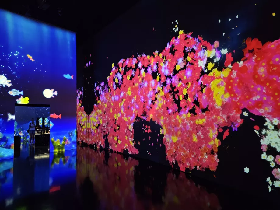 Музей на изкуствата и науката