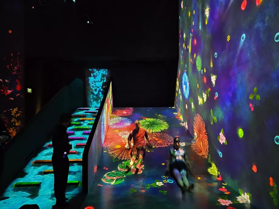 Музей на изкуствата и науката