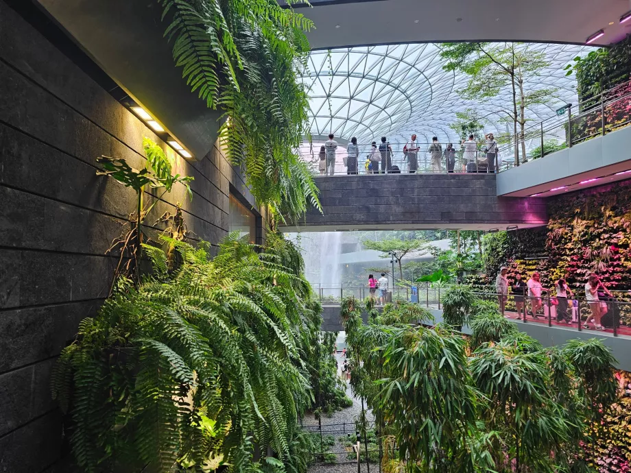 СКЪПОЦЕННИ КАМЪНИ