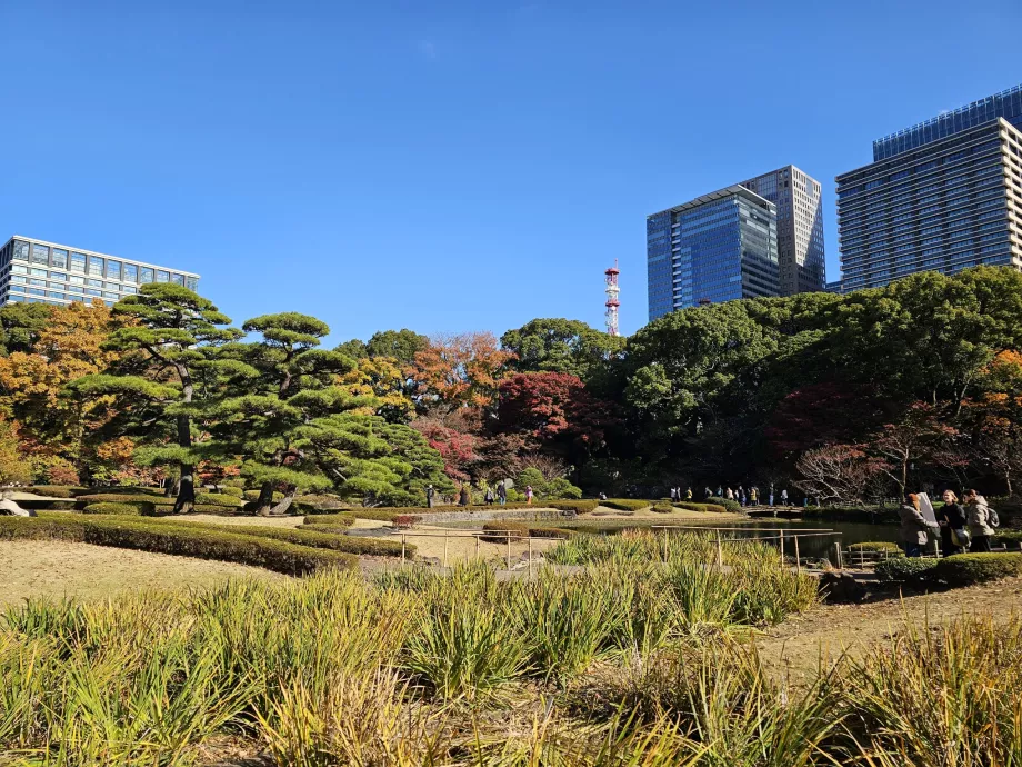 Източна градина