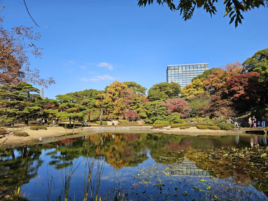 Източна градина