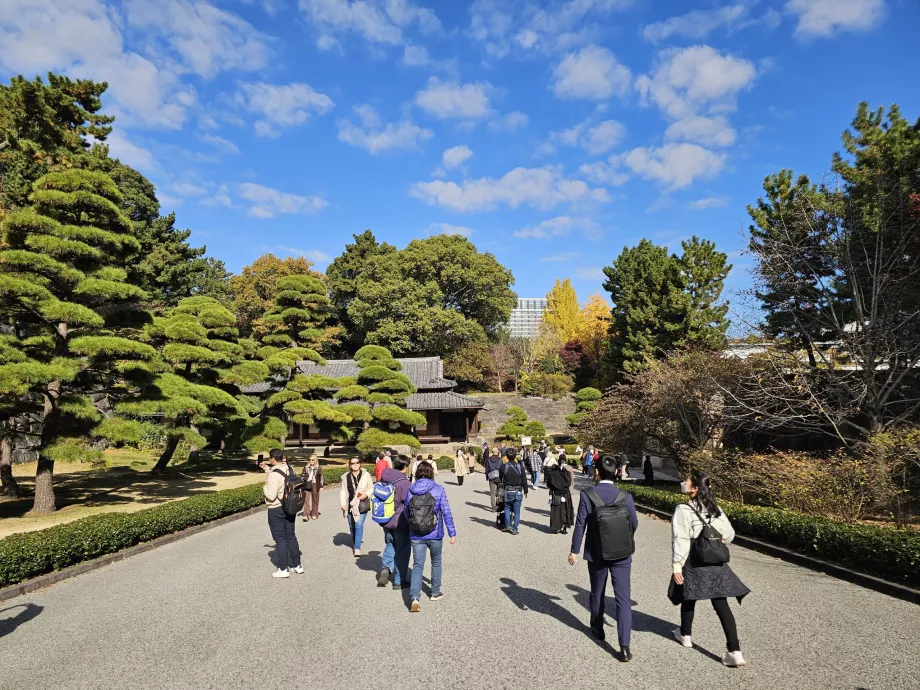 Източна градина