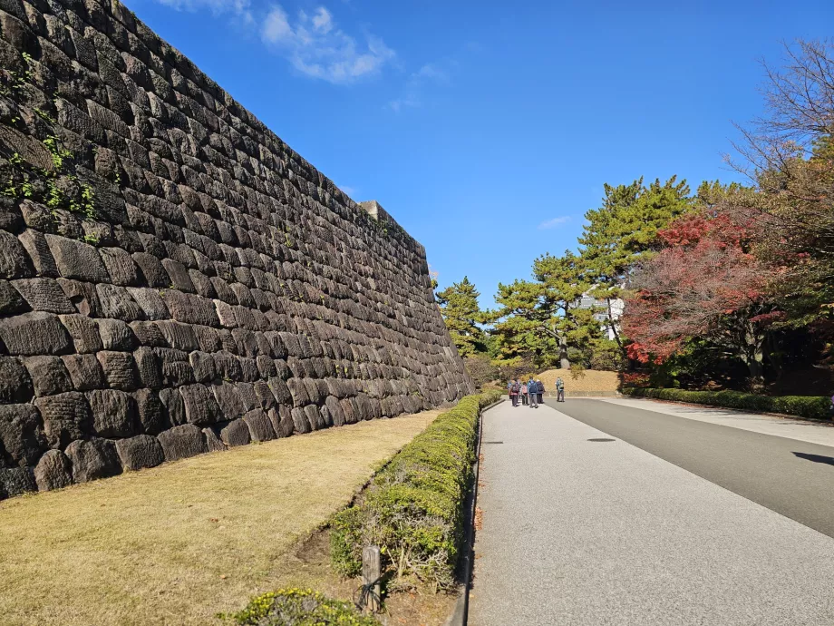 Източна градина