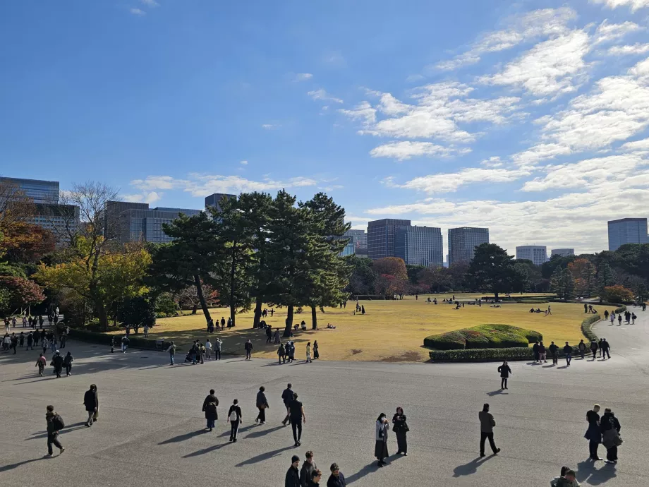 Източна градина