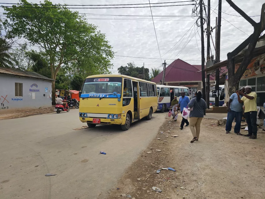 Хабитусът, който тя даде на летището