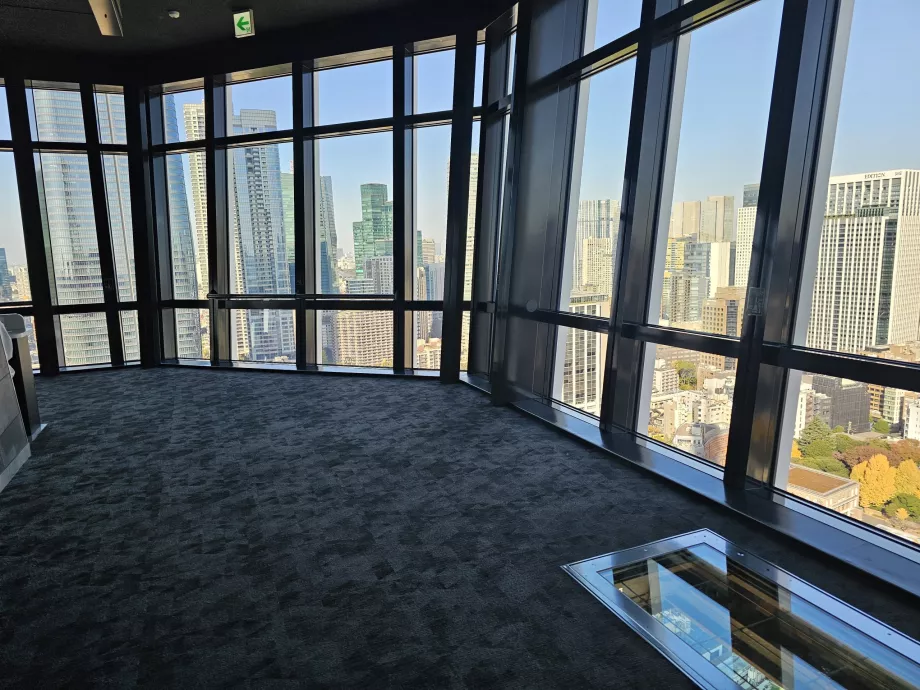 Основна платформа за наблюдение