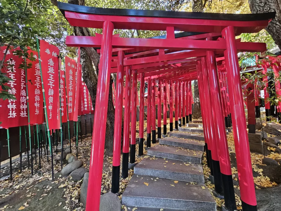 Светилище Ноги