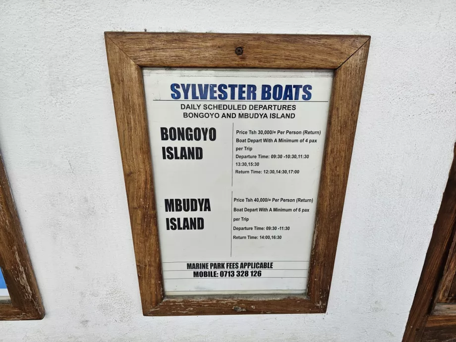 Bongoyo разписание