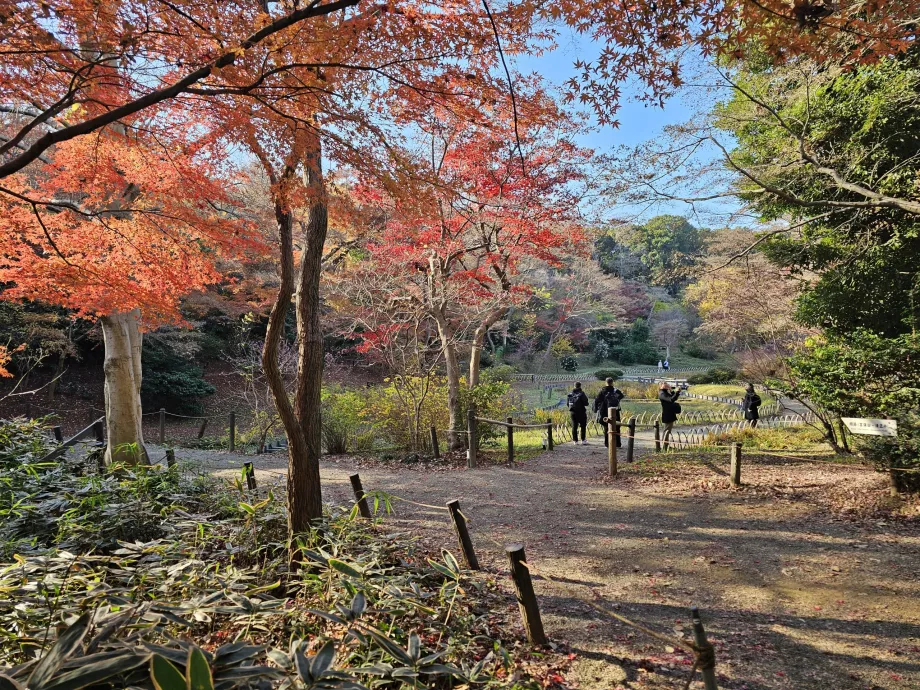 Кладенецът Кийомаса
