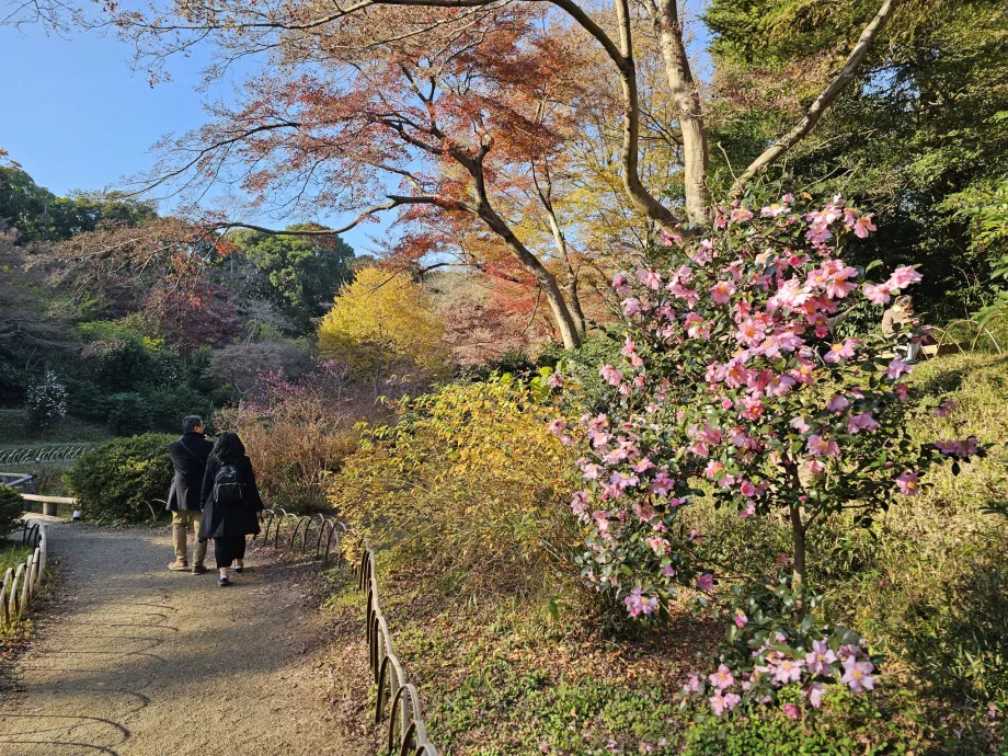Кладенецът Кийомаса