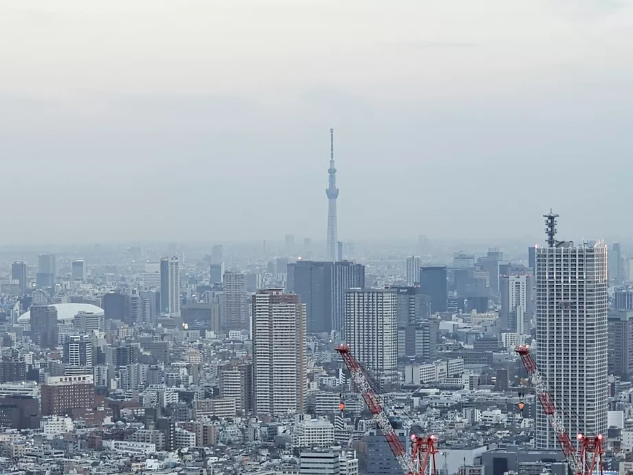 Сграда на столичното правителство на Токио