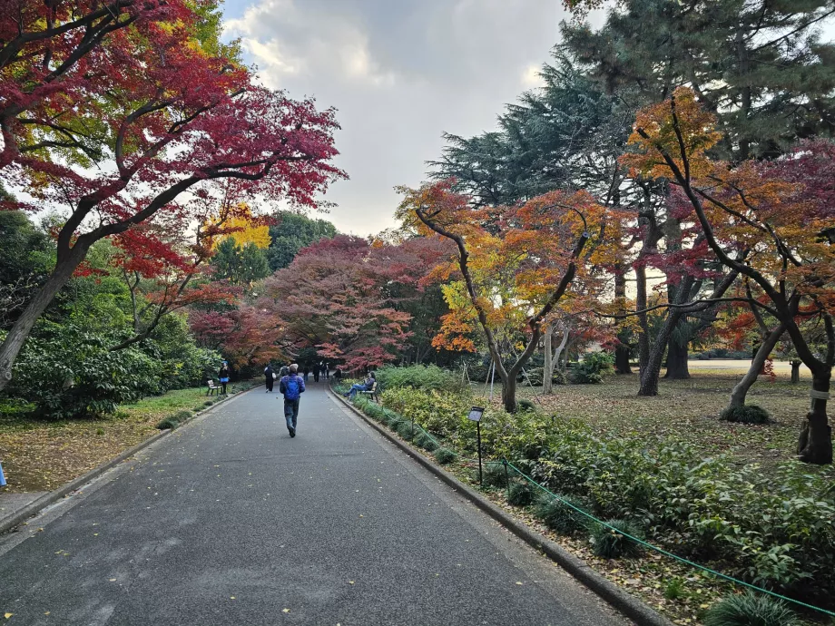 Национална градина Shinjuku Gyoen