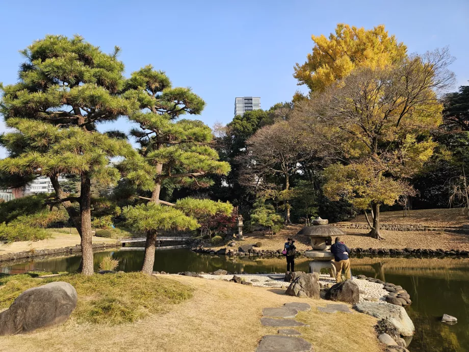 Национална градина Shinjuku Gyoen