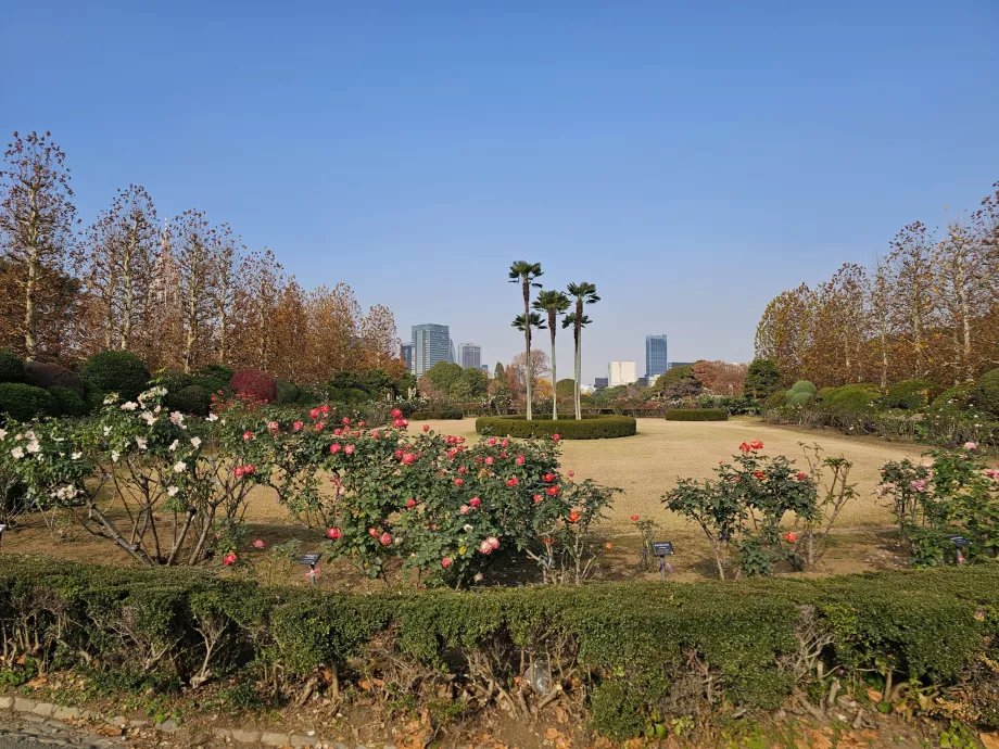 Национална градина Shinjuku Gyoen