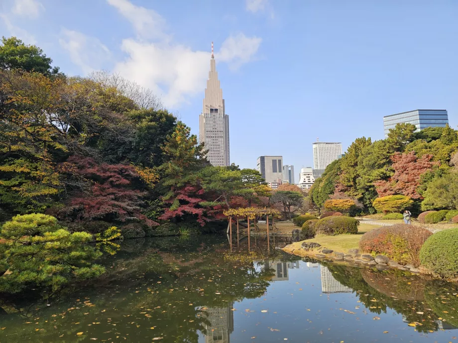 Национална градина Shinjuku Gyoen
