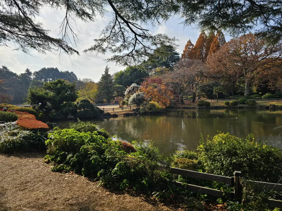 Национална градина Shinjuku Gyoen
