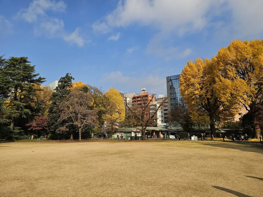 Национална градина Shinjuku Gyoen