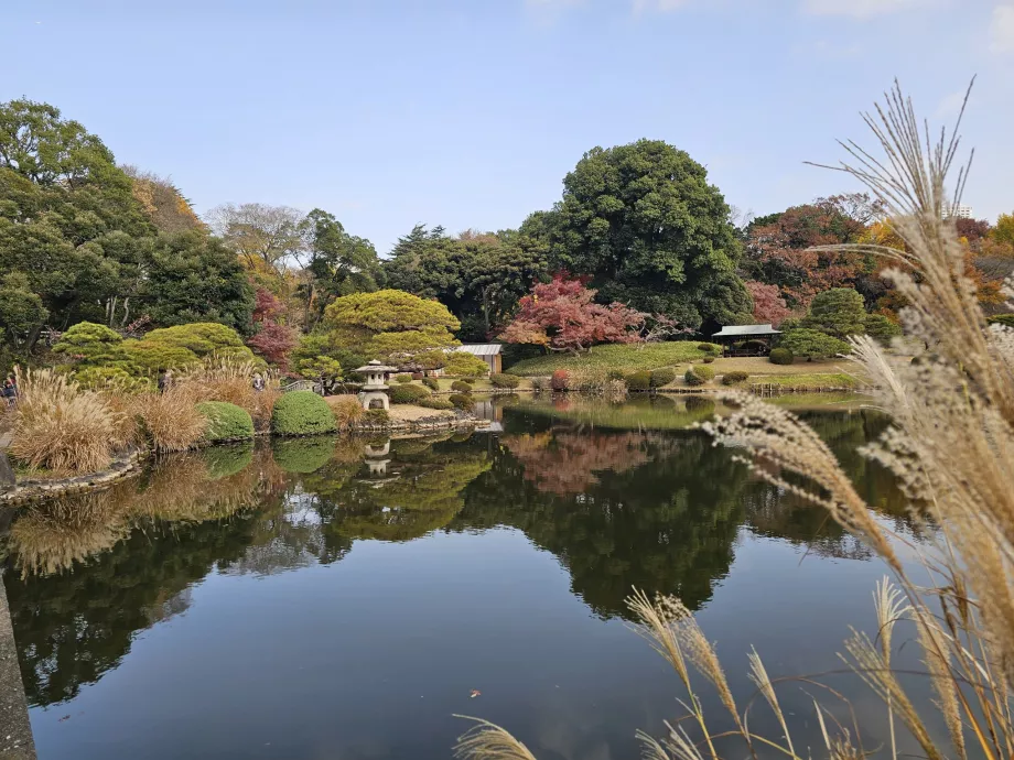 Национална градина Shinjuku Gyoen