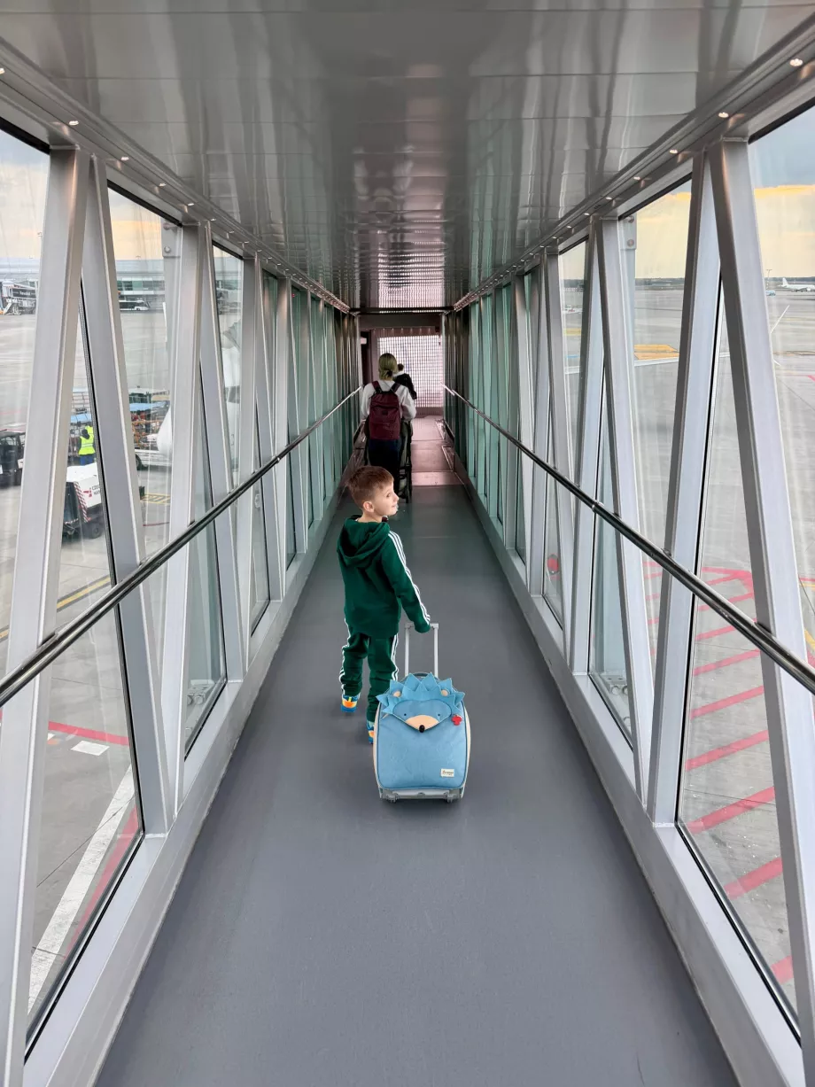 Качване на борда на самолета