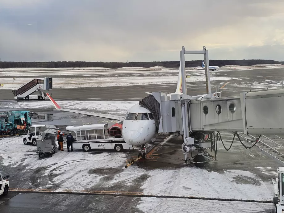 Бяла самолетна FDA