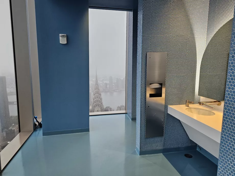 Summit One Vanderbilt, бани с изглед