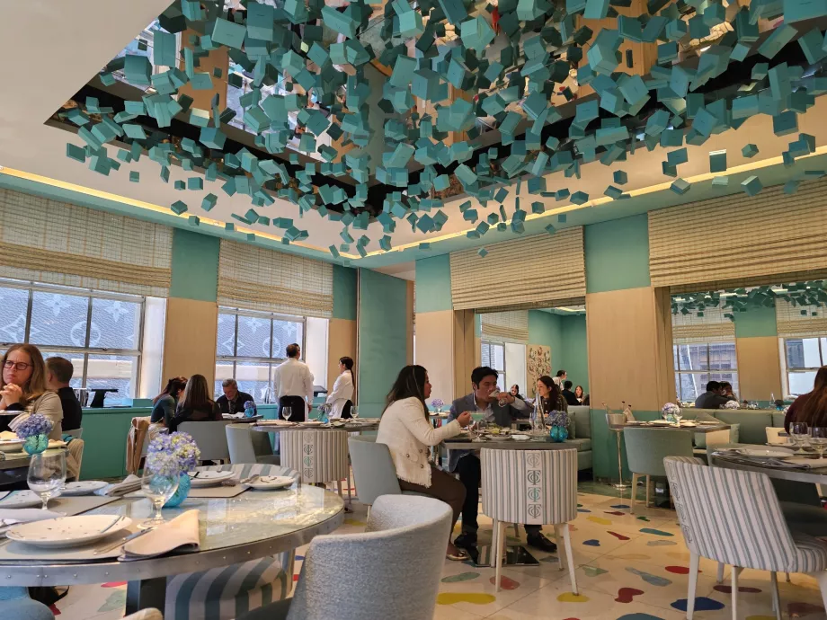 Синя кутия, обща среда