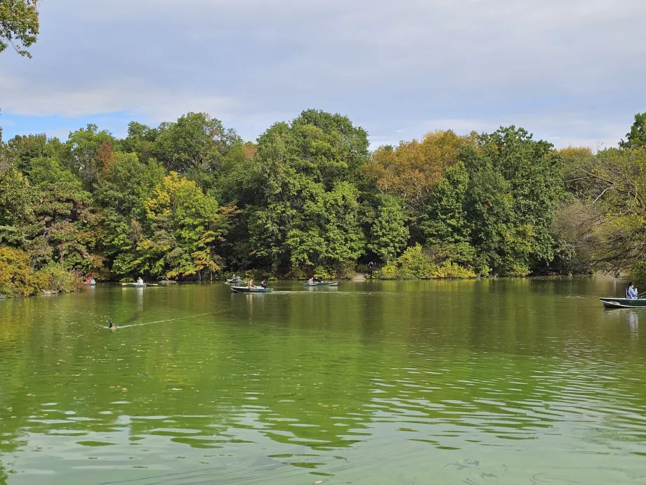 Езерото в Сентръл парк