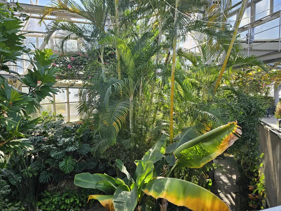 Оранжерия в билковите градини Nunobiki