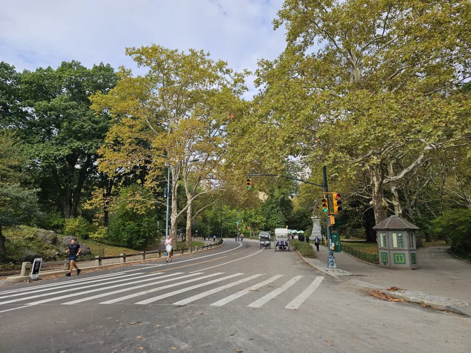 Централен парк