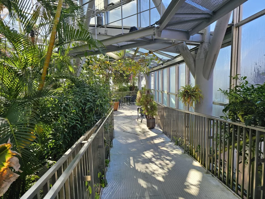 Оранжерия в билковите градини Nunobiki