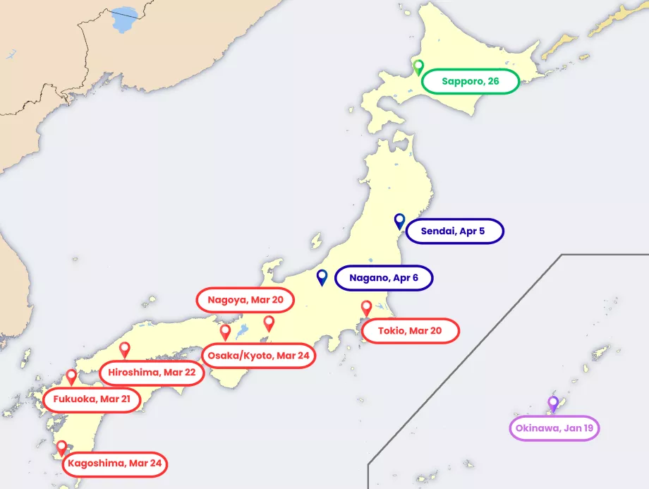 Карта на цъфтеж на сакура