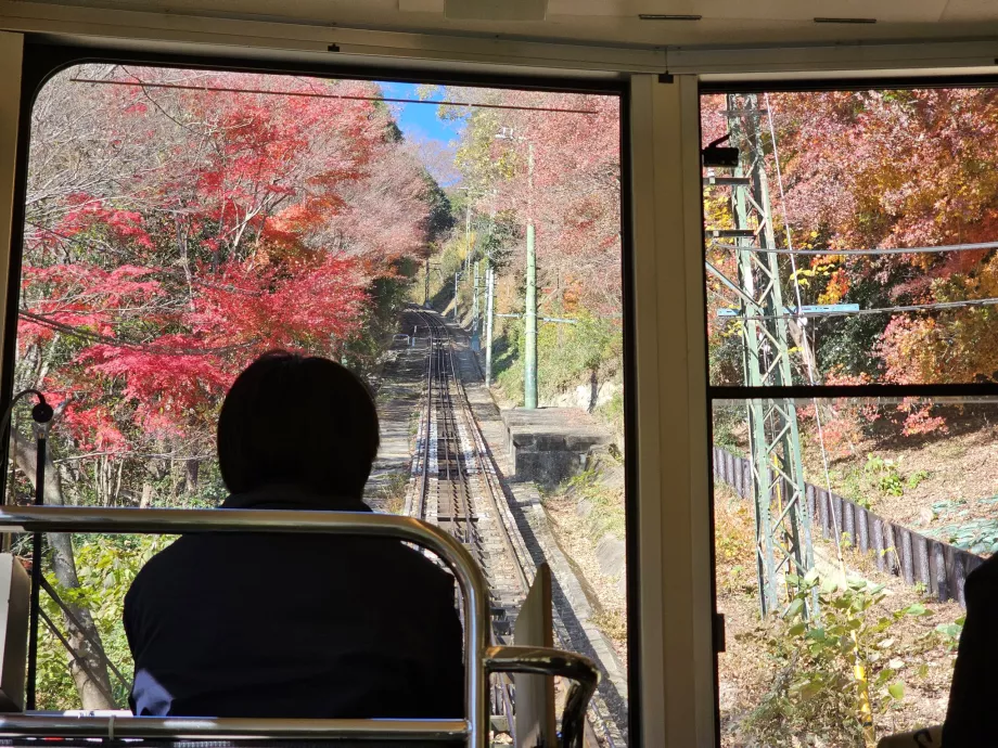 Въжена линия Мая