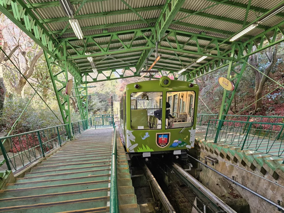 Въжена линия Мая