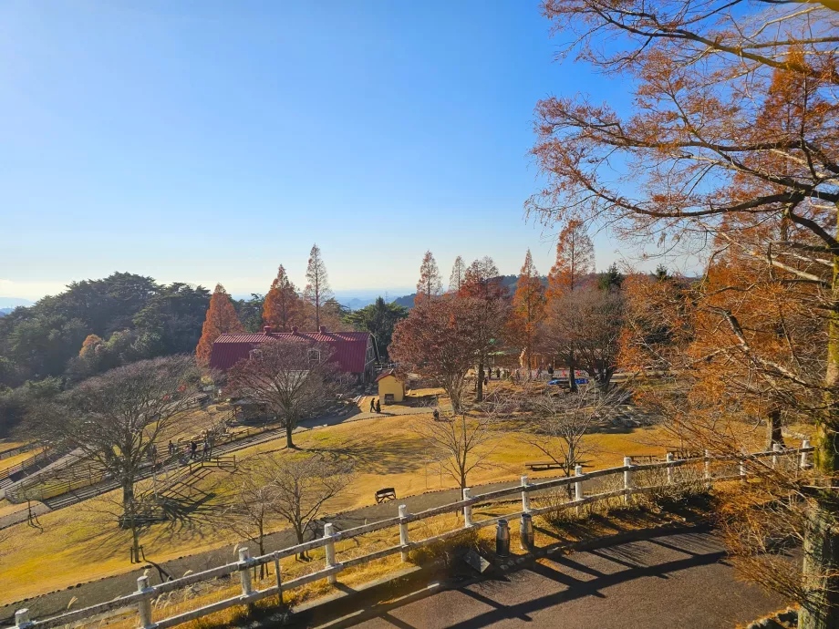 Пасище Rokkosan