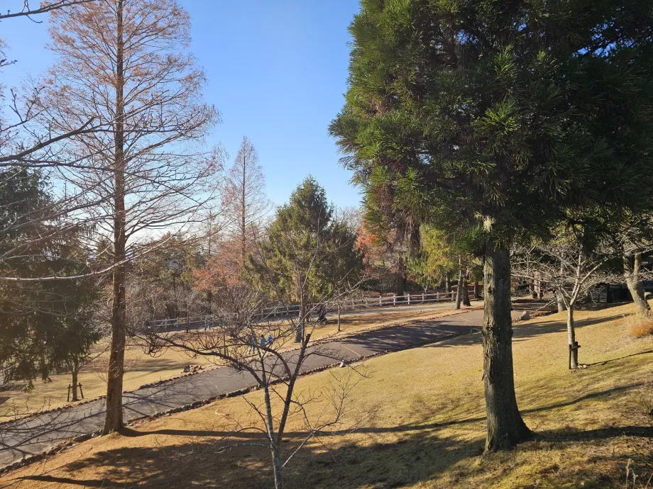 Пасище Rokkosan