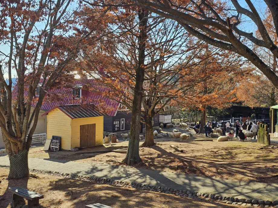 Пасище Rokkosan