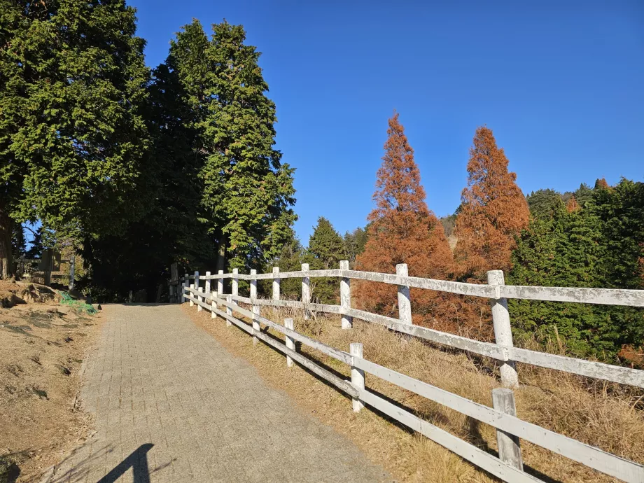 Пасище Rokkosan