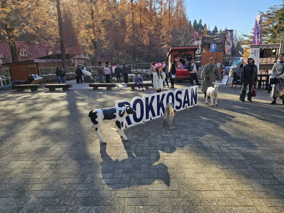 Пасище Rokkosan