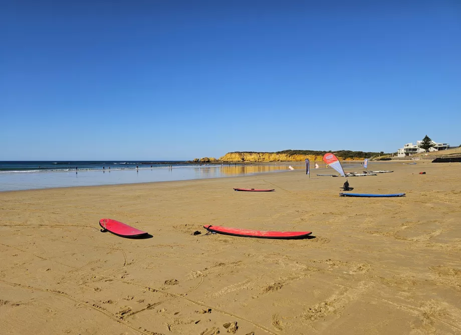 Сърфиране Torquay